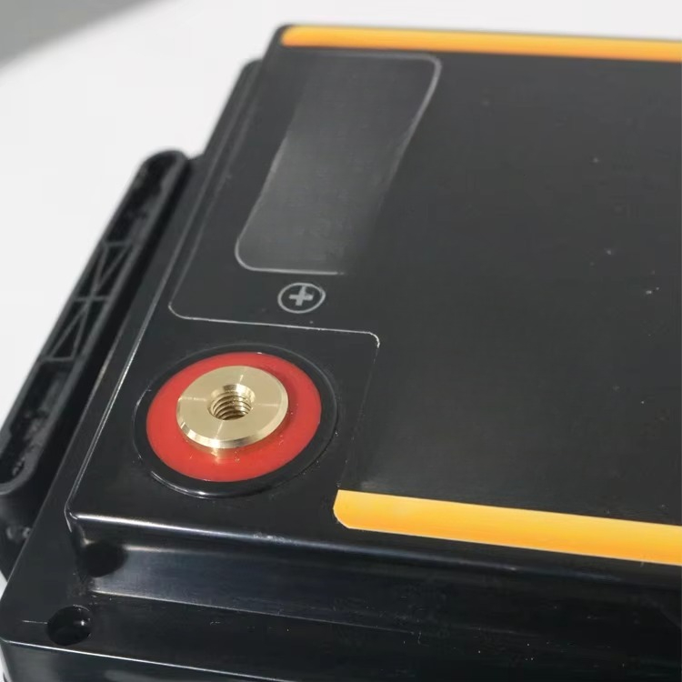 Lifepo4 12 V 100 Ah 200 Ah 300 – Lifepo4 Battery Pack Bewertung und Preis