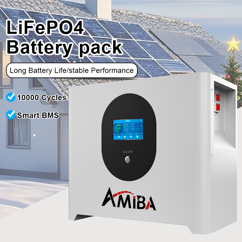 24 V Lithium-Akku, 72 V, 100 A – Lifepo4 Battery Pack Bewertung und Preis