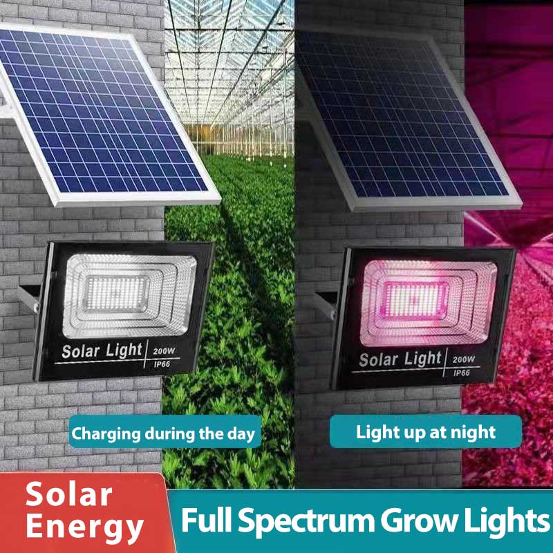 Solarbetriebene LED-Pflanzen-W – Renewable Energy Project Bewertung und Preis