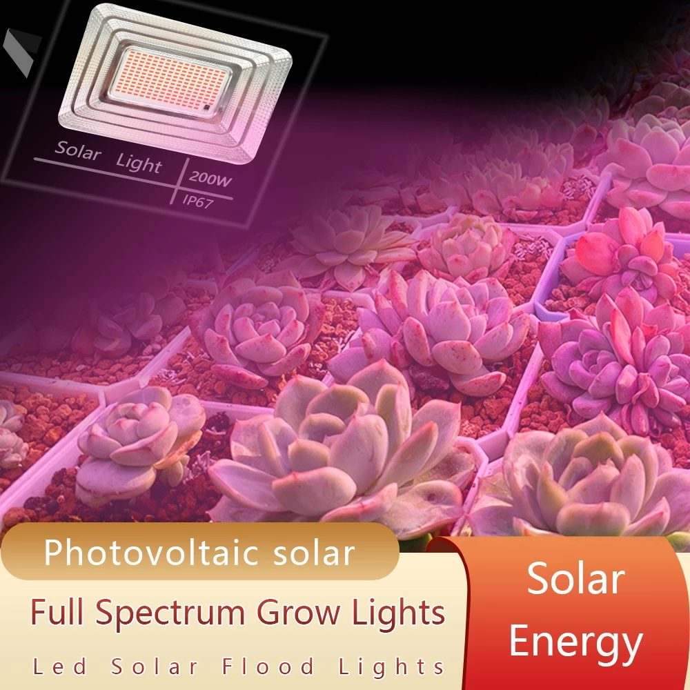 Solarbetriebene LED-Pflanzen-W – Renewable Energy Project Bewertung und Preis