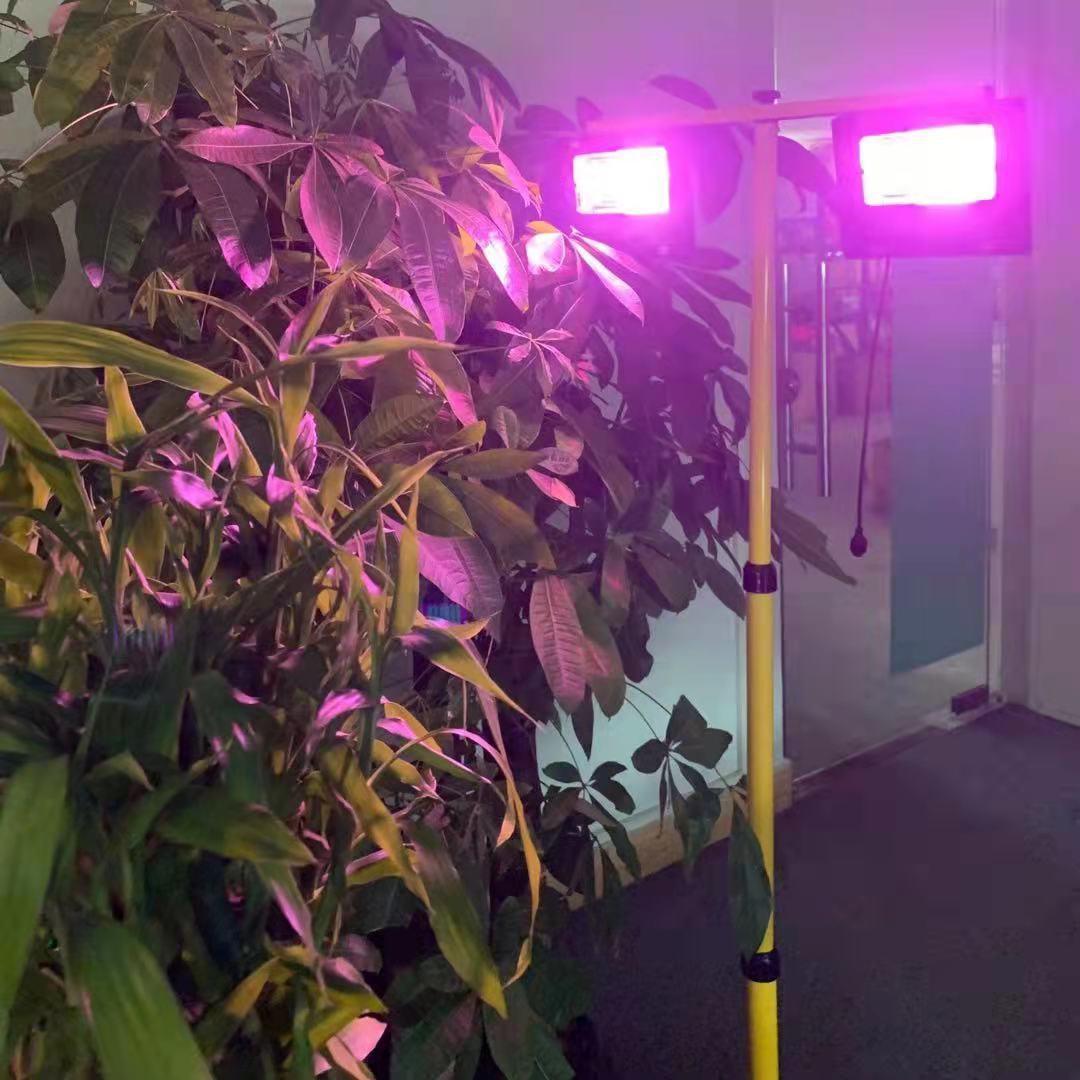 Solarbetriebene LED-Pflanzen-W – Renewable Energy Project Bewertung und Preis
